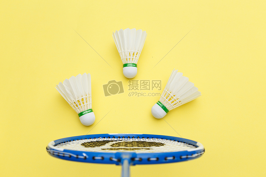 本赛季斩获 本赛季斩获