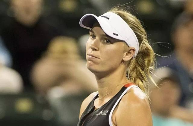 职业生涯的 职业生涯的