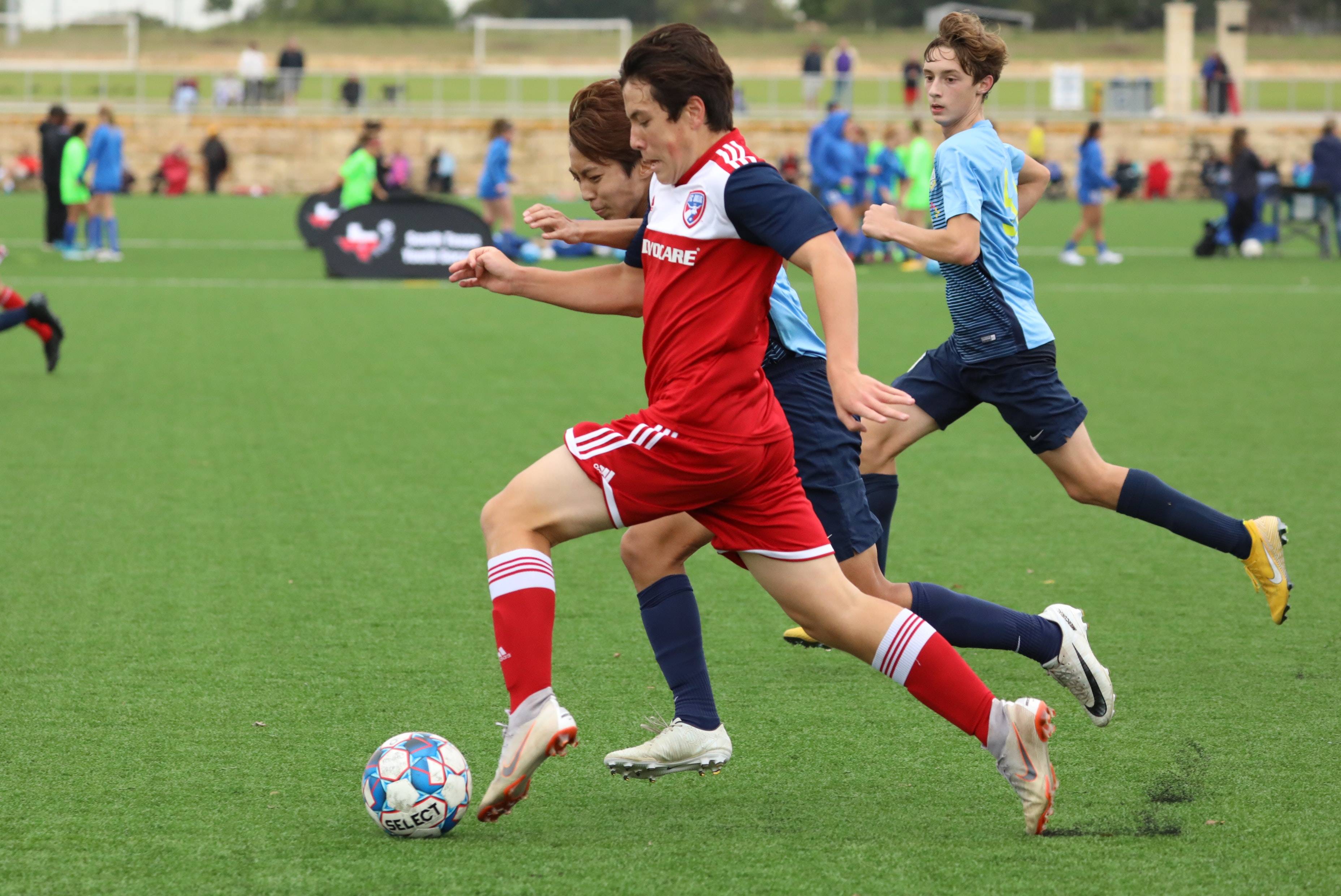 由市场签约 由市场签约