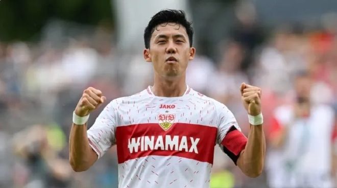 展示了一条 展示了一条