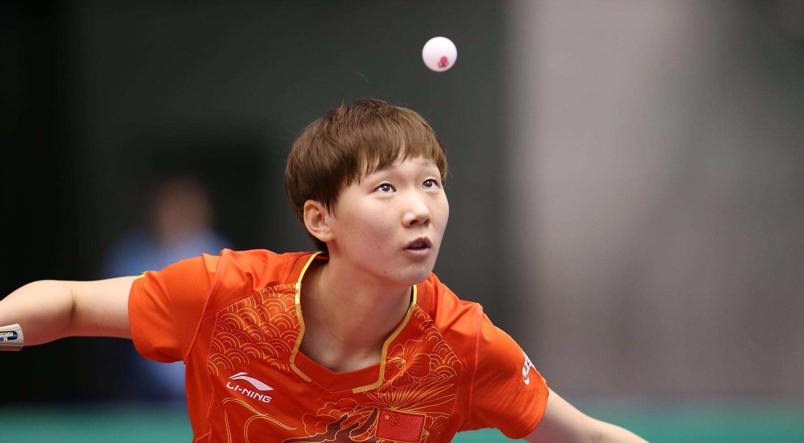 仅需要在引 仅需要在引