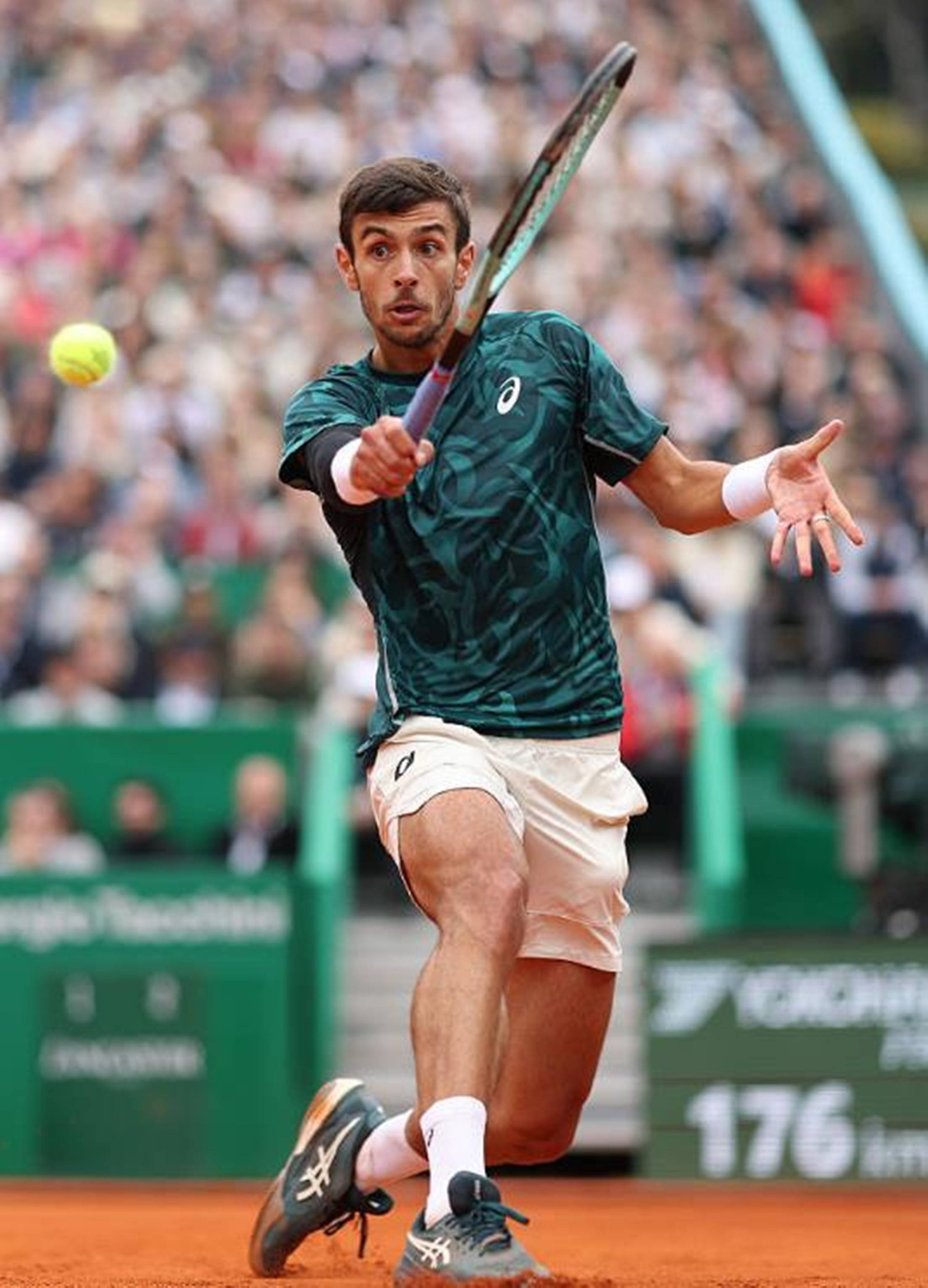 体育历史上 体育历史上