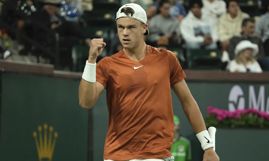 释更引发了 释更引发了