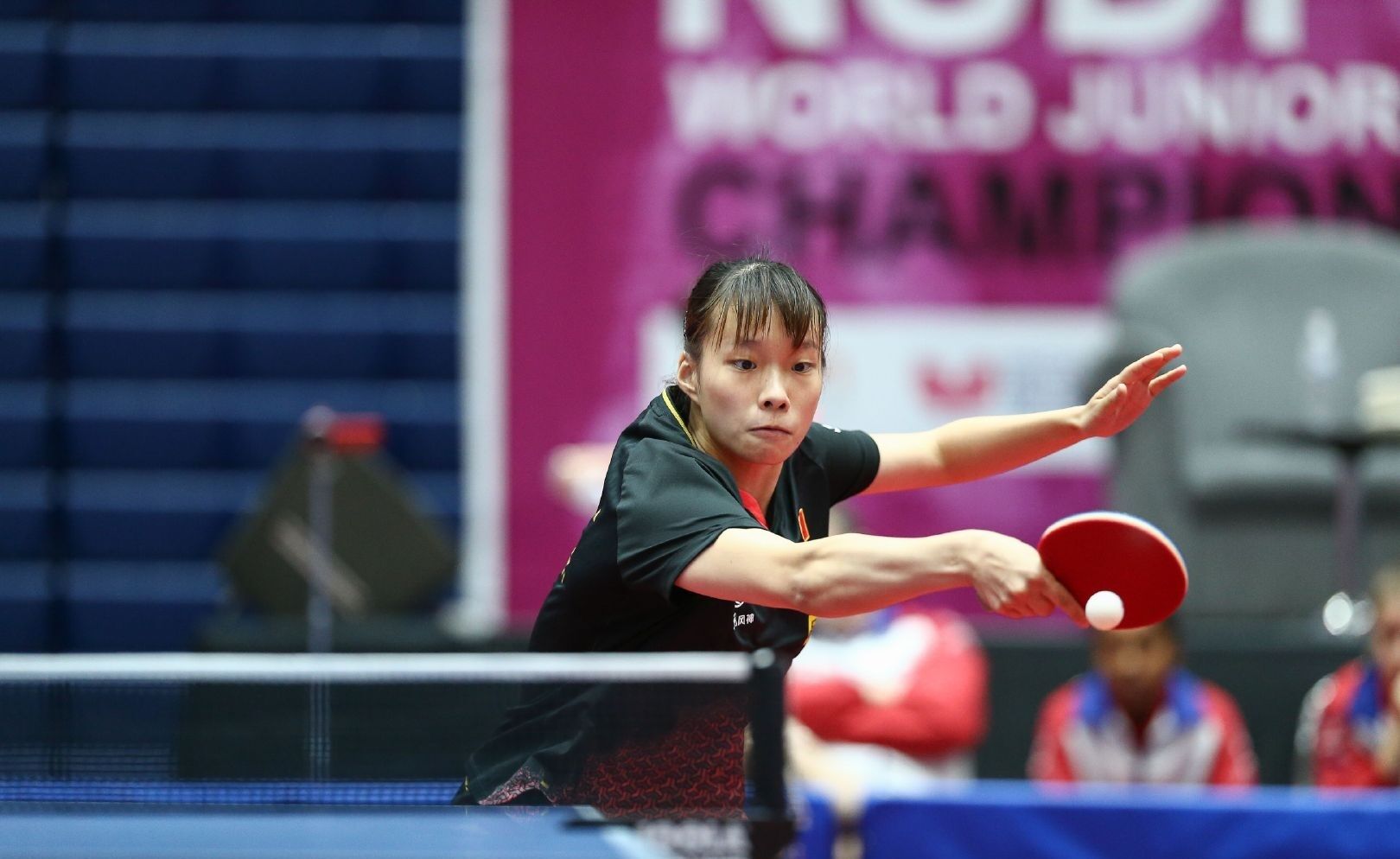 美国某些州 美国某些州